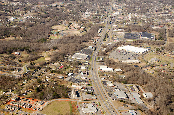 sue-ln-shelby-site-15