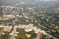 piney-forest-0714-347