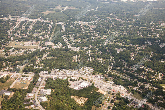 piney-forest-0714-347