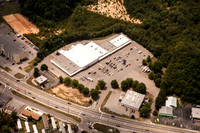 piney-forest-0714-364