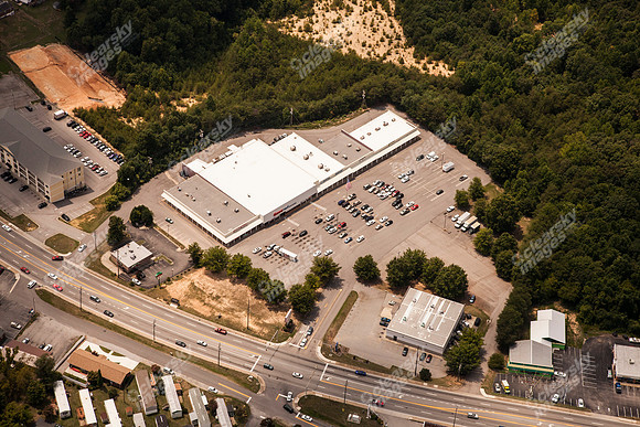 piney-forest-0714-364