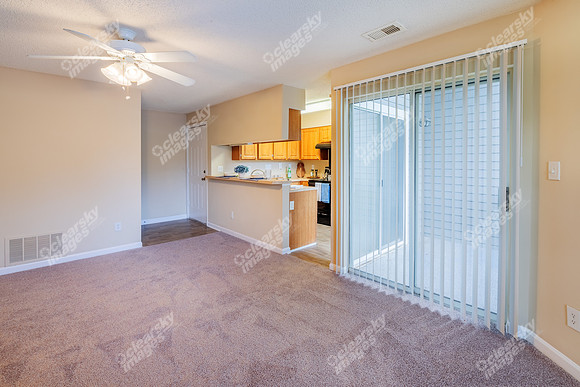 350-powell-int01569