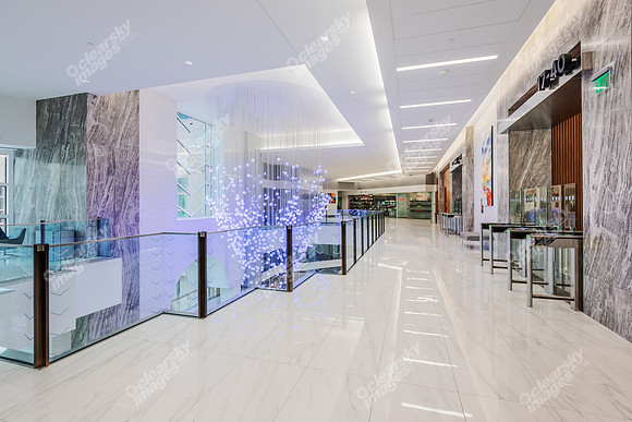301-s-college-int7089