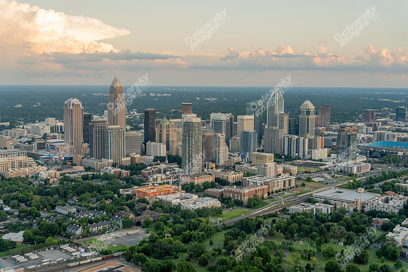 CLT-CBD-070325-8299
