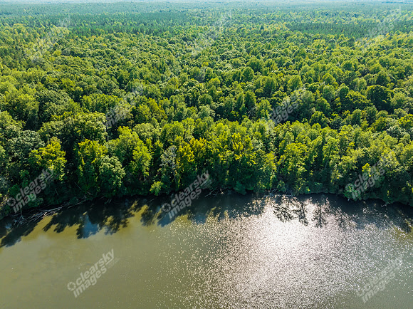 2338-landsford-drn0300