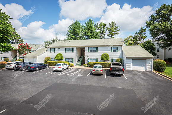1925-pine-bough-ext1147
