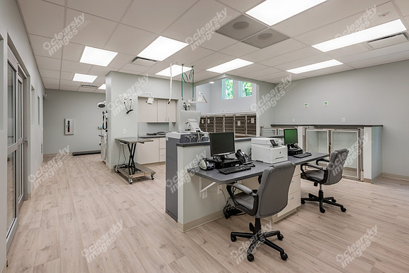 CarolinaPetsAnimalHospital_Treatment_Area246