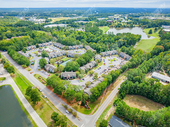 350-powell-drn28743