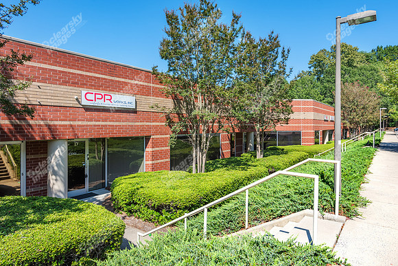 9305-monroe-portfolio-ext7578