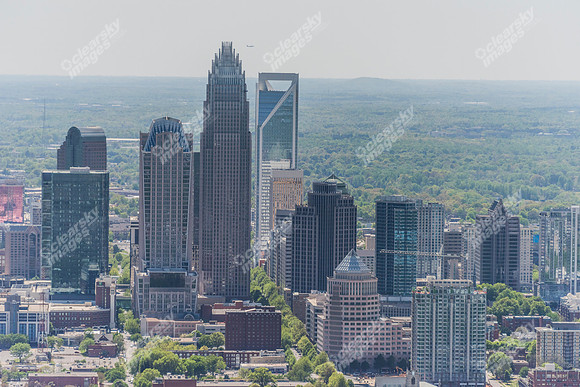 charlotte-cbd-3640