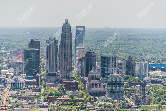 charlotte-cbd-3641