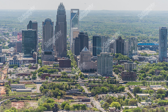 charlotte-cbd-3642