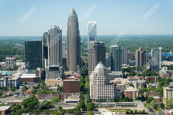 charlotte-cbd-h-0761