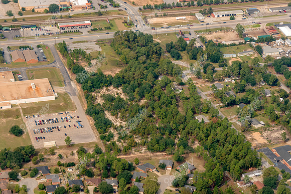 sandhill-columbia-sc-100512-a-701