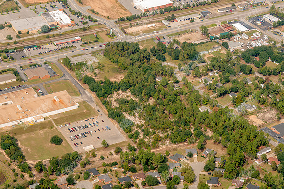 sandhill-columbia-sc-100512-a-659