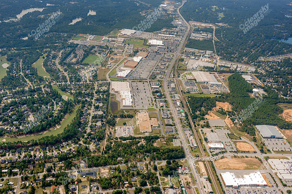 sandhill-columbia-sc-100512-a-668