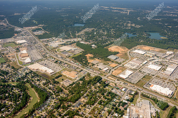 sandhill-columbia-sc-100512-a-624