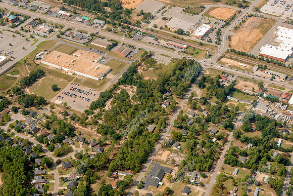 sandhill-columbia-sc-100512-a-621