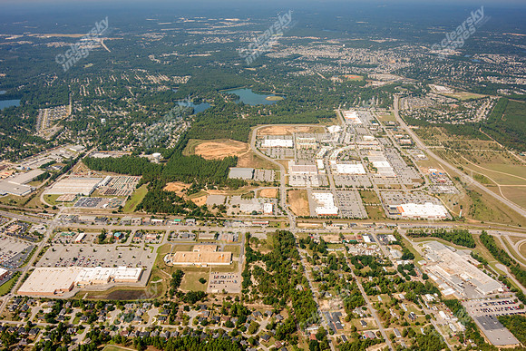 sandhill-columbia-sc-100512-a-620