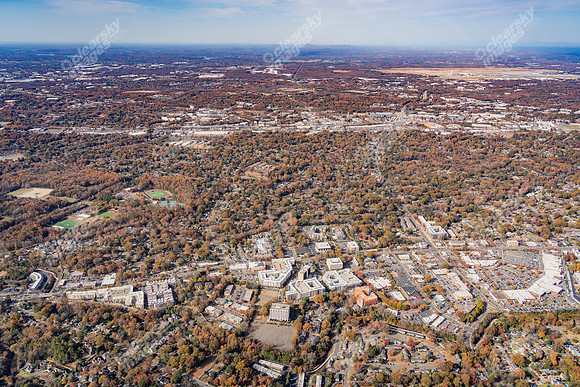 1515-mockingbird-air07030