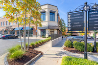 4600-roswell-ext4699