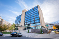 1515-Mockingbird-ext1814
