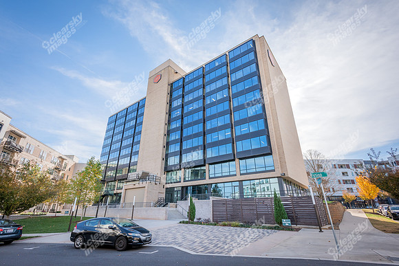 1515-Mockingbird-ext1814