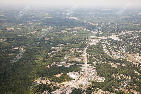 piney-forest-0714-354