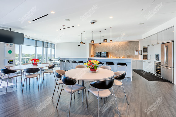 13320-ballantyne-int4126