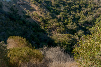 Commercial photography of Catalina Island