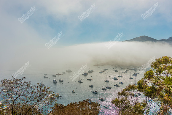 Commercial photography of Catalina Island