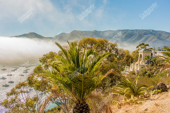 Commercial photography of Catalina Island