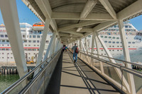 Carnival Inspiration photos