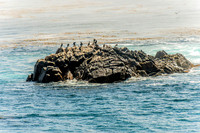 Scenic Ensenada, Mexico