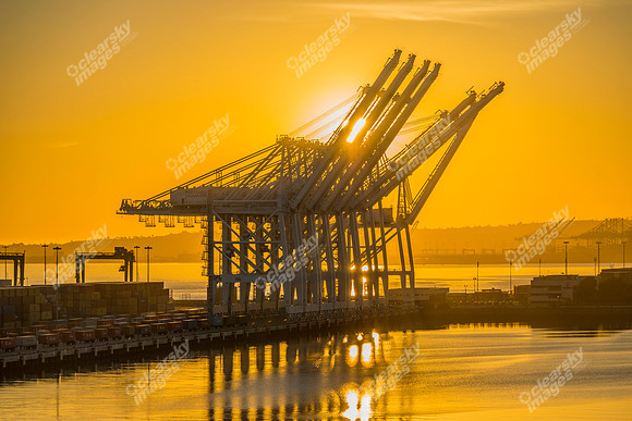 Long Beach sunset
