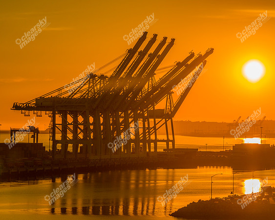 Long Beach sunset
