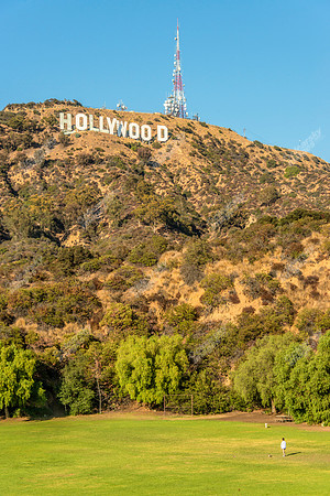 Hollywood Sign