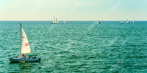 California Beach Life