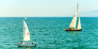 California Beach Life