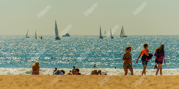 California Beach Life