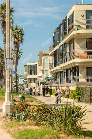 California Beach Life