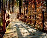 Fall Day at the Legacy at Jordan Lake