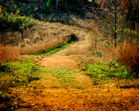 Fall Day at the Legacy at Jordan Lake