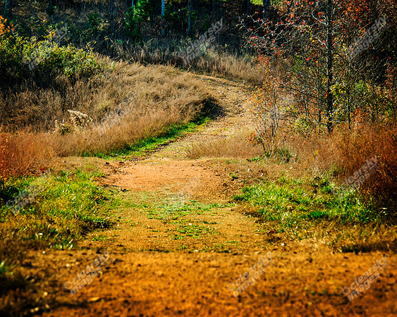 Fall Day at the Legacy at Jordan Lake