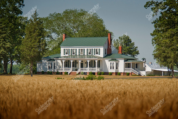 grimesland-plantation-779