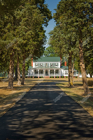 grimesland-plantation-806