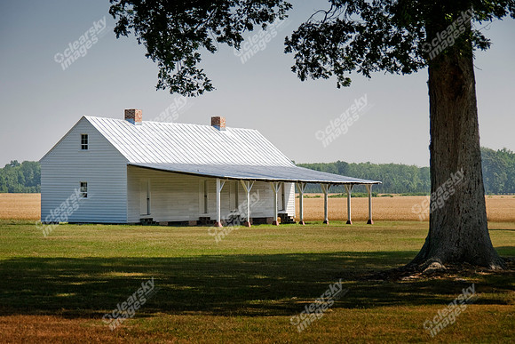 grimesland-plantation-987