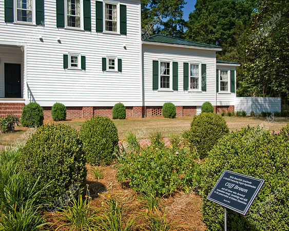 grimesland-plantation-104