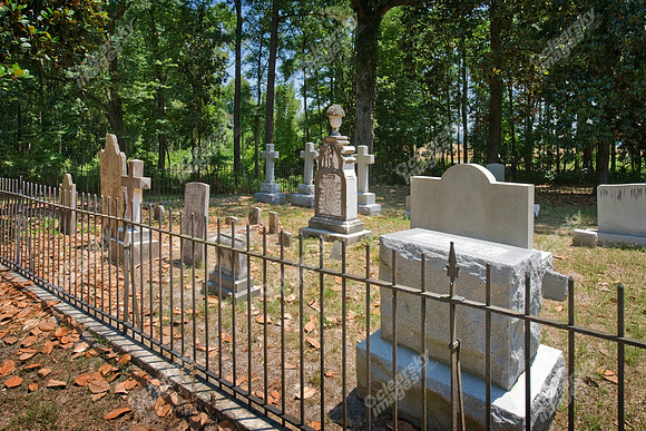 grimesland-plantation-540