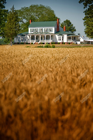 grimesland-plantation-788